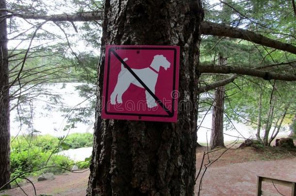 不公狗,公狗是不容许的符号采用公园