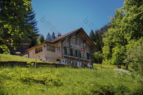 典型的瑞士木制的房屋向绿色的草地.瑞士