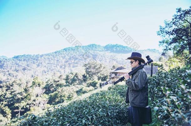 摄影师男人采用绿色的茶水田自然
