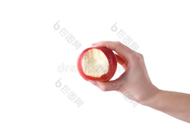 手佃户租种的土地咬红色的<strong>苹果</strong>隔离的向白色的背景