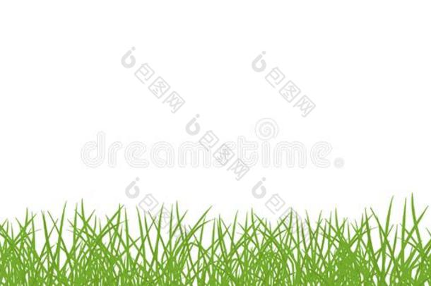 绿色的草草地横幅.边框架隔离的透明的后面