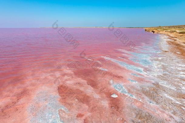 粉红色的含盐的希瓦什湖,乌克兰