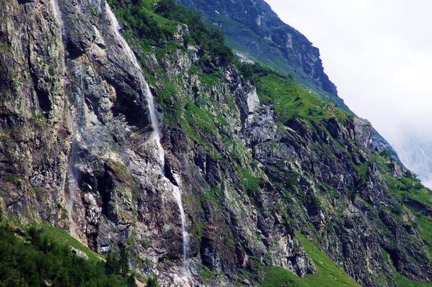 瀑布奶牛场个案或瓦瑟夫奶牛场Ã¤lines线,鲜奶Ã¤Switzerland瑞士