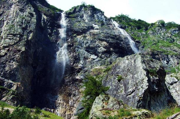 瀑布奶牛场个案或瓦瑟夫奶牛场Ã¤lines线,鲜奶Ã¤Switzerland瑞士