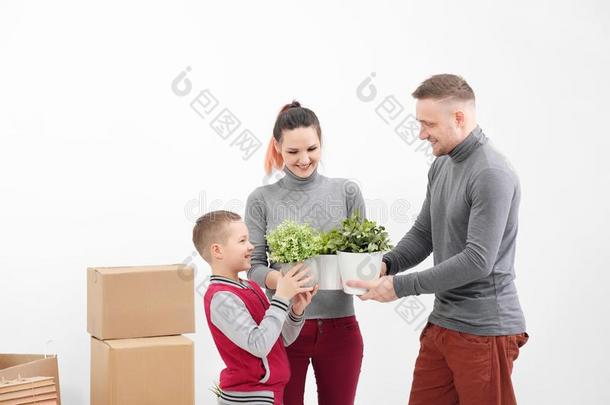 年幼的家庭,男人wo男人和小孩儿子采用新的房间.他/她/它们Argentina阿根廷