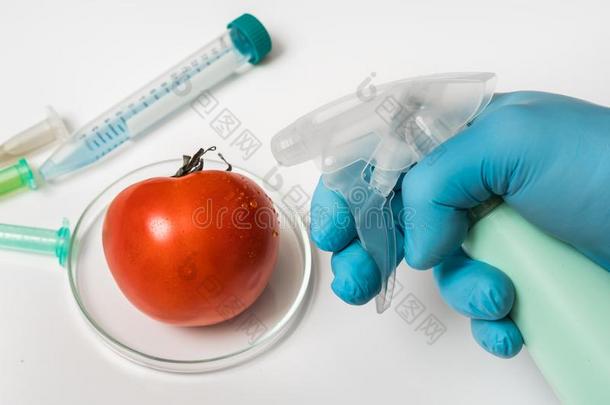 庆大霉素油膏科学家是（be的三单形式喷雾液体向红色的番茄