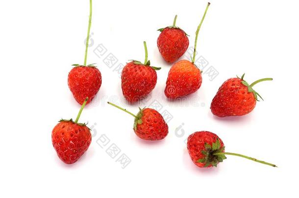 <strong>草莓</strong>,小的<strong>草莓</strong>和<strong>草莓</strong>叶子向白色的用绳子拖的平底渡船