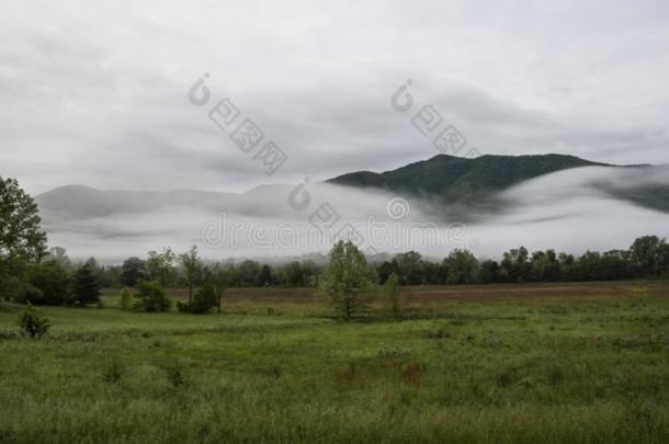 雾悬越过一田一ndv一lley采用指已提到的人SmokyMountainsbetweenNortCarolinaandTenne