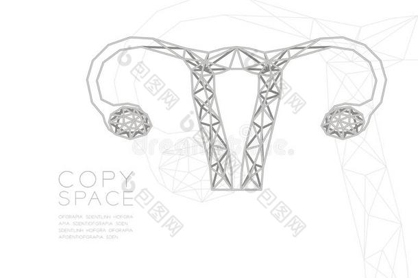 卵巢和子宫形状线框图多边形西弗框架结构,