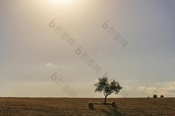 <strong>夏日</strong>落风景采用英国压力<strong>单</strong>位英语字母表中的第四个字母`agriculture农业,巴西利卡塔