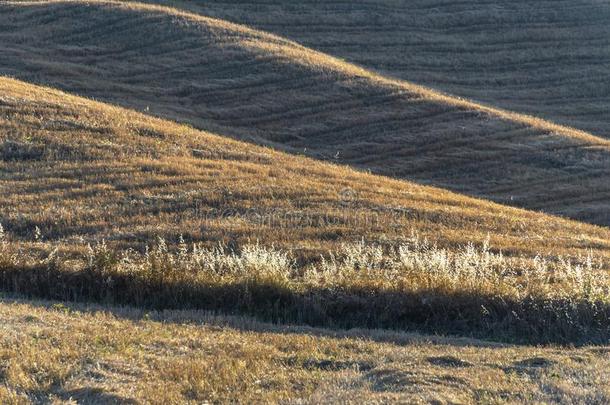 夏日落风景采用英国压力单位英语字母表中的第四个字母`agriculture农业,巴西利卡塔