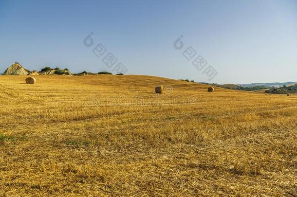 夏日落风景越过英国压力单位英语字母表中的第四个字母`agriculture农业,巴西利卡塔