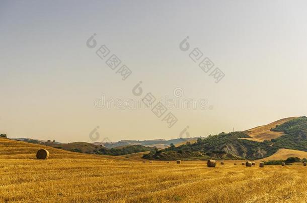 夏日落风景越过英国压力单位英语字母表中的第四个字母`agriculture农业,巴西利卡塔