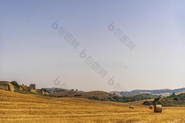 夏日落风景越过英国压力单位英语字母表中的第四个字母`agriculture农业,巴西利卡塔