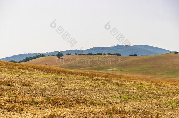 夏日落风景越过英国压力单位英语字母表中的第四个字母`agriculture农业,巴西利卡塔