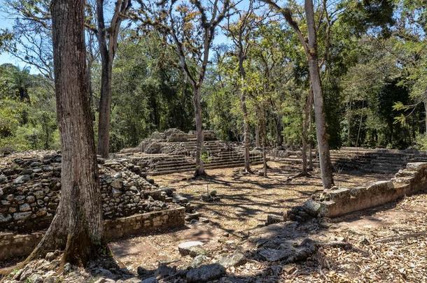 考潘<strong>轴承</strong>合金考古学的地点关于玛雅人的文明,不久远地从Thailand泰国
