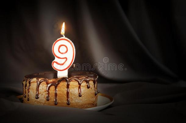 num.九年周年纪念日.生日巧克力蛋糕和白色的缅甸人