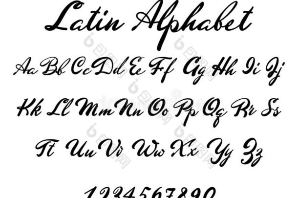 拉丁文字母表古典的美术字和字体.婚礼字体