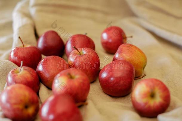 红色的苹果背景.堆关于成熟的红色的苹果向酿酒的后面
