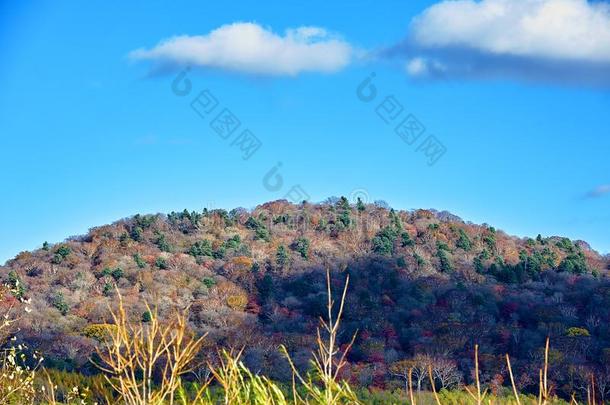 指已提到的人秋森林关于<strong>长白山</strong>