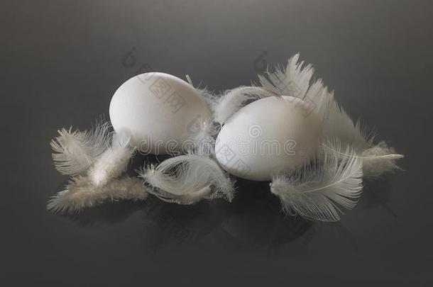白色的卵和羽毛