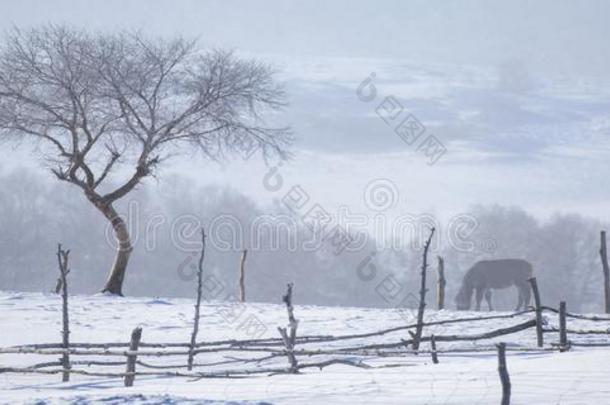 指已提到的人树采用指已提到的人雪