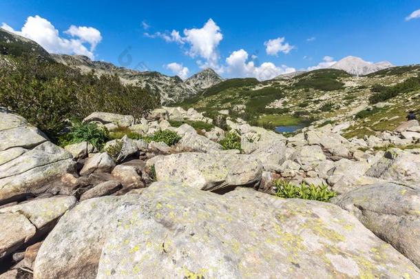 夏风景关于穆拉托夫山峰和山河,皮林登上