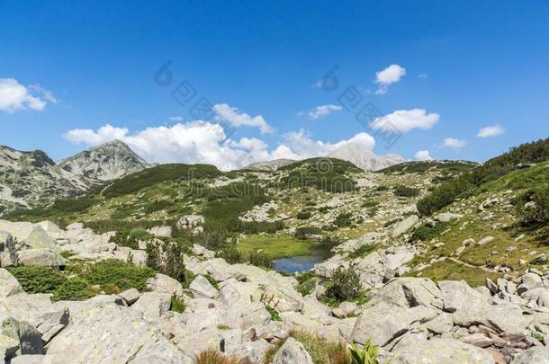 夏风景关于穆拉托夫山峰和山河,皮林登上