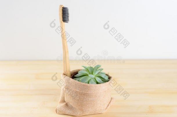 竹子牙刷和多汁的植物.