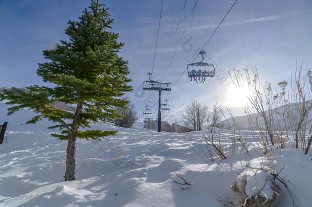 葱翠的树反对雪和滑雪电梯采用公园城市