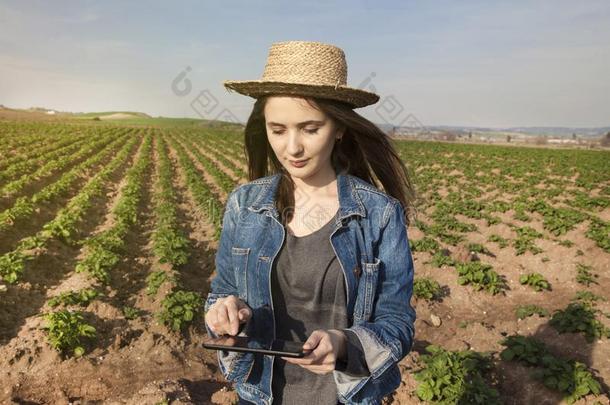 农业科技农场主人使用碑计算机