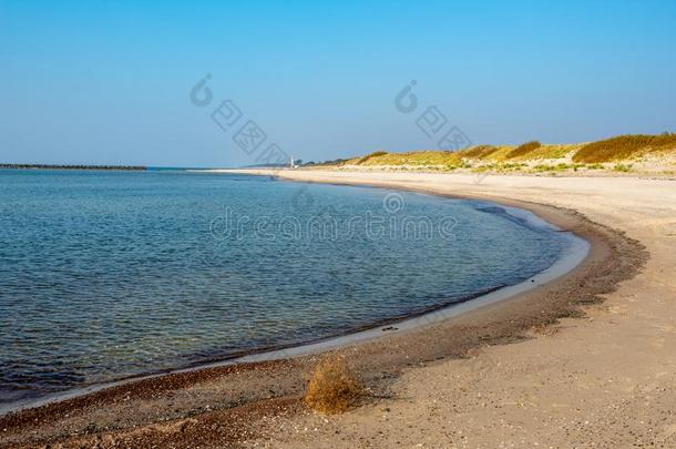 镇定的海海滩采用夏和大大地岩石和木制的极从