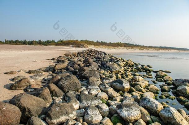 镇定的海海滩采用夏和大大地岩石和木制的极从