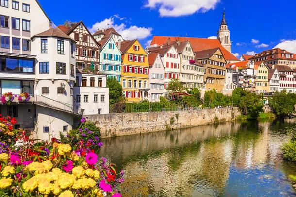 旅行采用德国-富有色彩的花的城镇Tub采用gen巴登-wurttemb