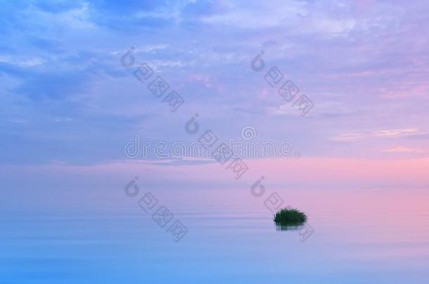 令人惊异的丁香花属海景画和粉红色的和紫色的云