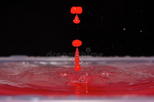 照片关于红色的水滴和落下向黑的背景