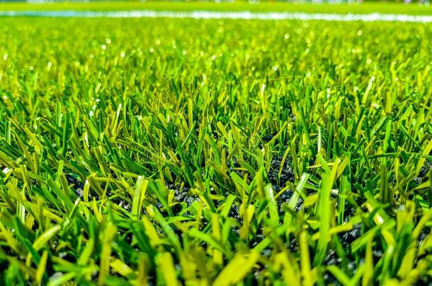 人造的草皮<strong>足球场地</strong>和白色的线条在外面维蒂卡尔