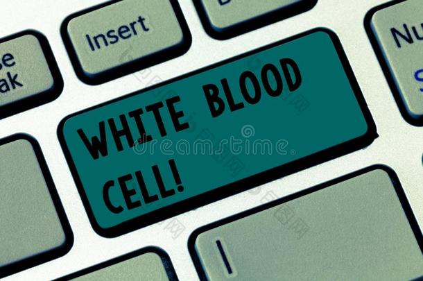文本符号展映白色的血细胞.观念的照片<strong>白细胞</strong>