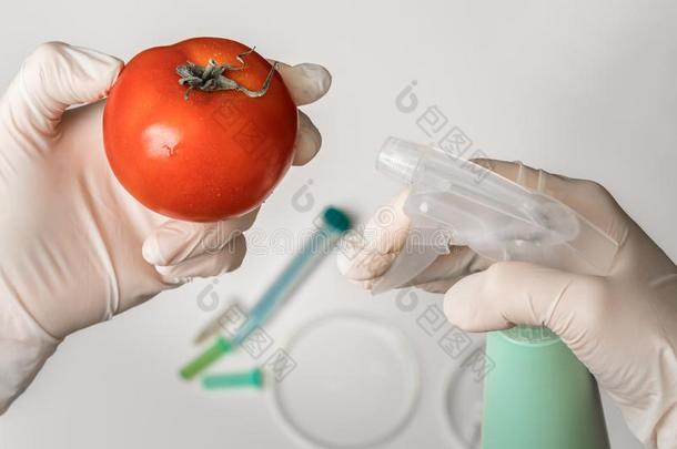 庆大霉素油膏科学家是（be的三单形式喷雾液体向红色的番茄
