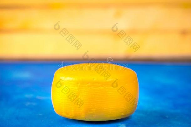 奶酪轮子向蓝色和黄色的背景
