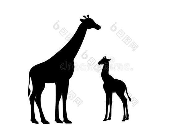 长颈鹿和长颈鹿幼小的兽哺乳动物轮廓动物