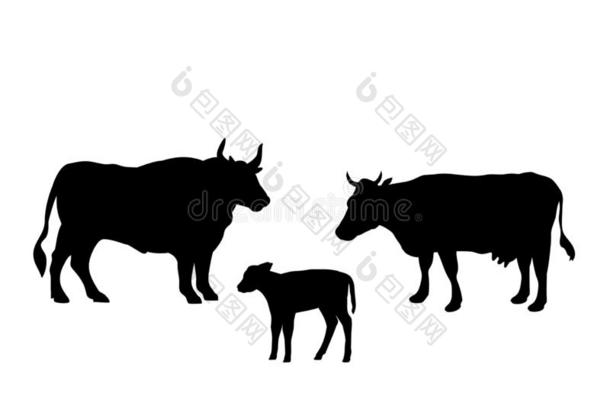 牛奶牛牛犊农场哺乳动物黑的轮廓动物