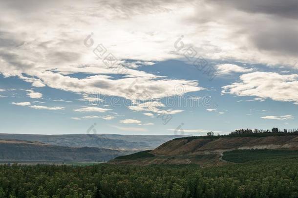 春季<strong>夏日</strong>落背景绿色的田<strong>风景风景</strong>winter冬天