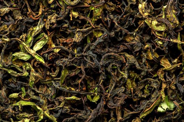 烘干和发酵关于茶水柳树