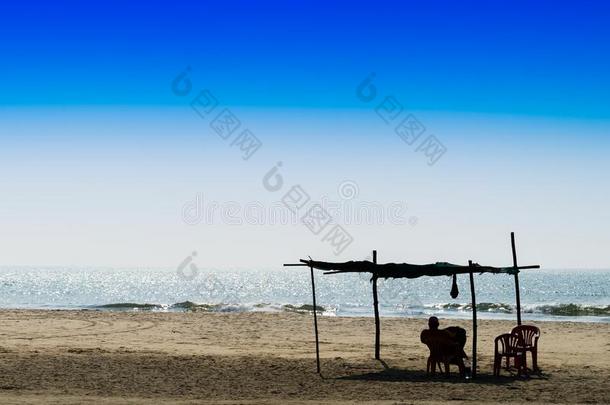 水平的生动的男人会议明亮的早晨在沙的海滩陆地