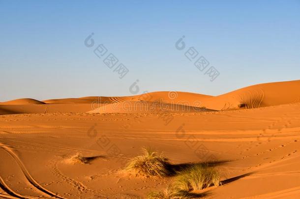 浮筒采用指已提到的人沙漠,美丽的照片数字的照片,照片同样地