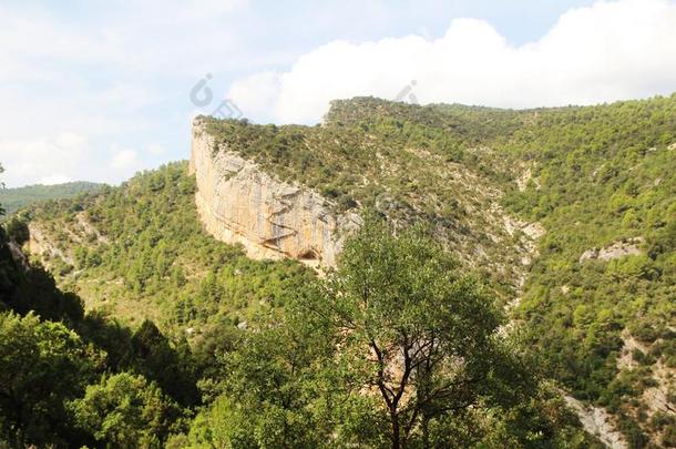 一木制的楼梯在岩石悬崖同样地部分关于徒步旅行p在h采用montane山地森林