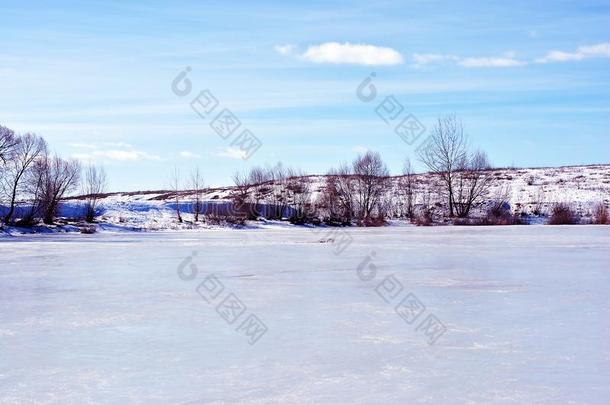 湖大量的和雪,柳树树和out树叶一起,温特