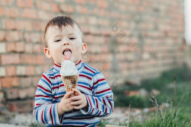 小的漂亮的男孩男孩男孩num.三年吃冰乳霜很开胃菜