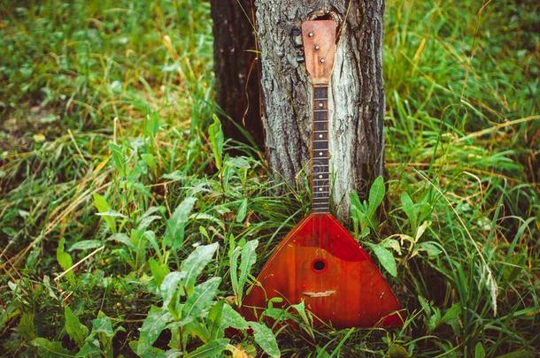 民族音乐的仪器俄罗斯三角琴向木制的背景